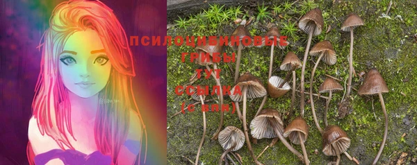 амф Мегион