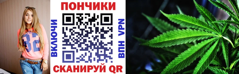 хочу   Мышкин  Канабис гибрид 
